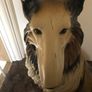 Vintage Rough Collie Dog Image 7