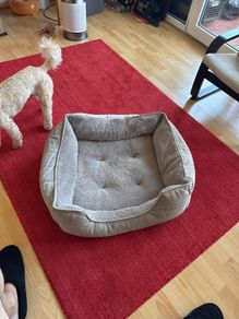 dog bed