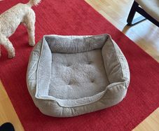 dog bed