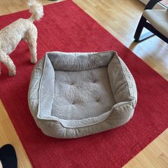 dog bed