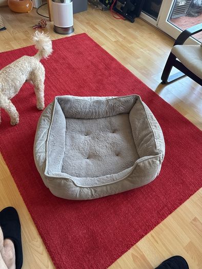 dog bed