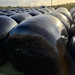 2026 Silage bales