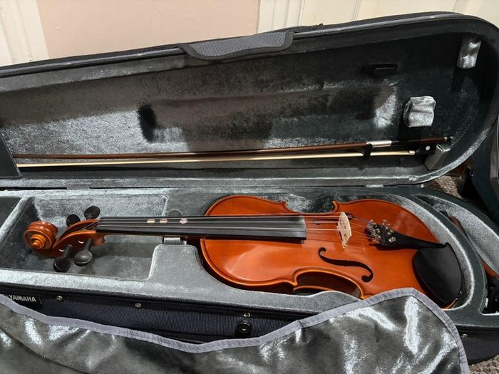 Violin