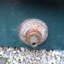 oil tank Image 5