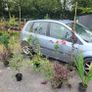 4 trees(copper beech and oak) and mature flowering shrubs Image 8