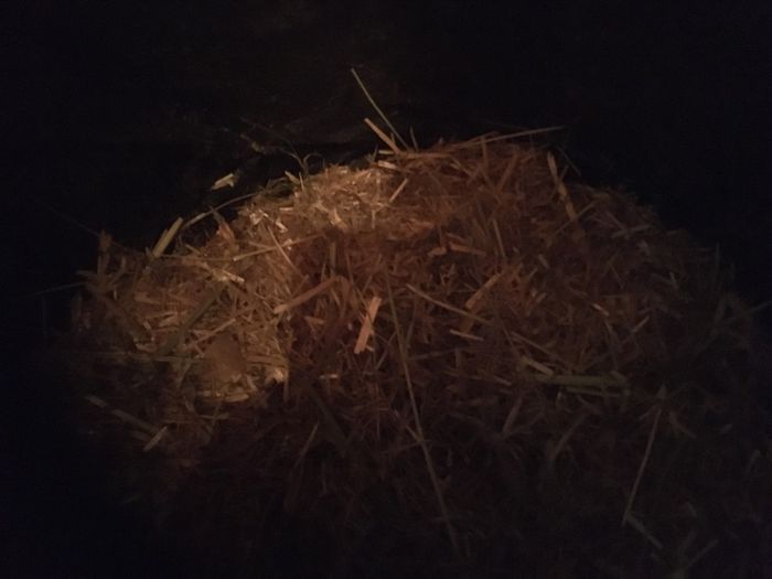 Rabbit Fertiliser Manure For Free!