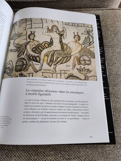 La Mosaique en Tunisie the mosaics of Tunisia large coffee table book in very good condition with no issues 270 pages with lots of pictures etc see photos FREE STANDARD POSTAGE INCLUDED