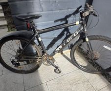 Adult bike