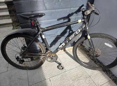 Adult bike