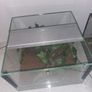 2 x terrariums Image 10