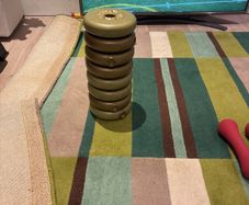 dumbell plates