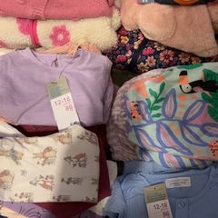 Baby girl bundle 12-18 months