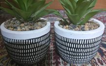 Plant decor