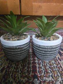 Plant decor