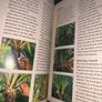 Pocket edition gardening book Image 3