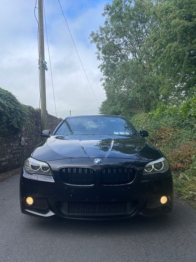Bmw F10 520d