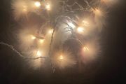 White feather lights