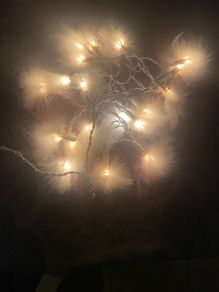 White feather lights