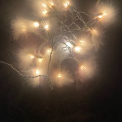 White feather lights
