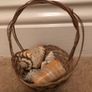 Basket with shells Image 2