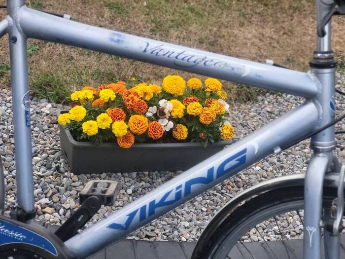 Large Gents Used Bike In Working Order. Read Add Details