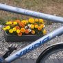 Large Gents Used Bike In Working Order. Read Add Details Image 2