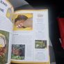 Keeping Pet Chickens: Bring your garden to life and enjoy the bounty of fresh... (Hardcover) Image 10