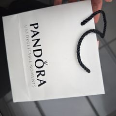 Pandora bracelet with charms
