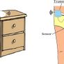 Wireless Bedwetting Alarm Image 3
