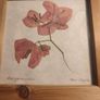 Set 2 Vintage Authentic Botanical Press Flowers Framed Wall Folk Art Image 9