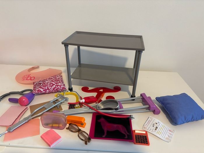 Our Generation Doll Bundle