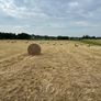 Hay Image 2