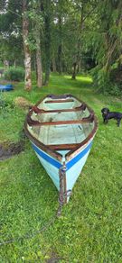 17 ft Lakeboat