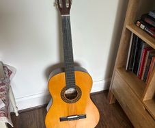 Herald Guitar