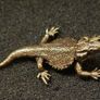 3 brass lizards. Image 3