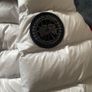 canada goose Image 2