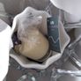 Newgrange Candle Holder Image 4