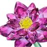 Swarovski Lotus Waterlily Flower Crystal Figurine Image 5
