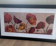 Black framed picture of poppies