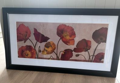 Black framed picture of poppies