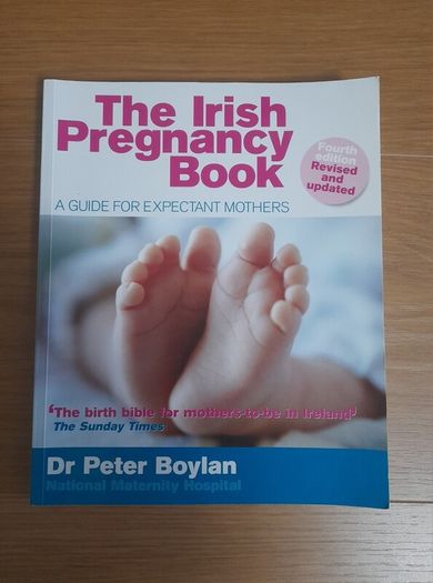 The Irish Pregnancy Book