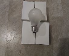 4. 24 Volt 60 Watt Inspection lamp bulbs.