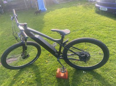 E mountain bike