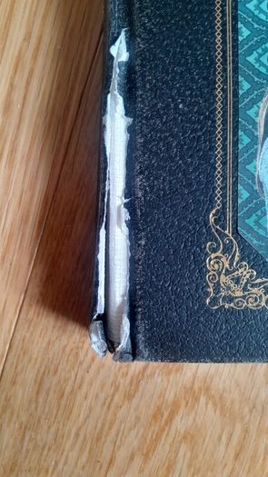 The Incomplete History Of Secret Organizations. An utterly Unreliable Account of Netflix's A Series of Unfortunate Events.
