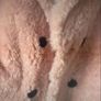 jacket Bnwt pink fluffy teddy style baloot brand size small double breasted jacket Image 9