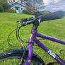 Frog bike 62 Image 3
