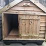 xl dog kennel Image 2