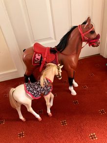 Our generation horse and foal