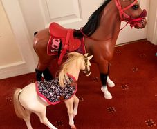 Our generation horse and foal