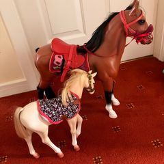 Our generation horse and foal